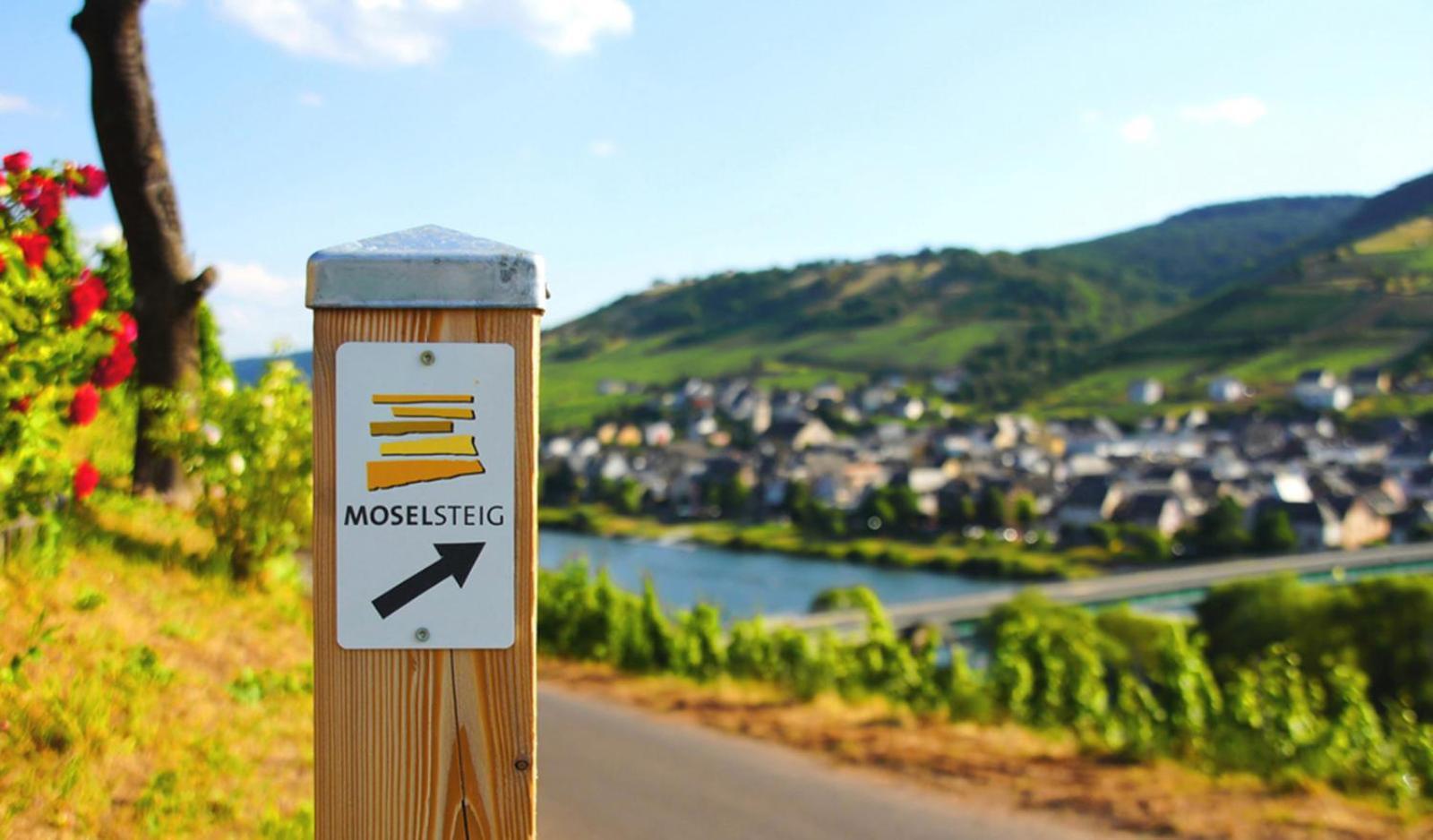 Weingut Mathy-Schanz Osann-Monzel Exteriör bild