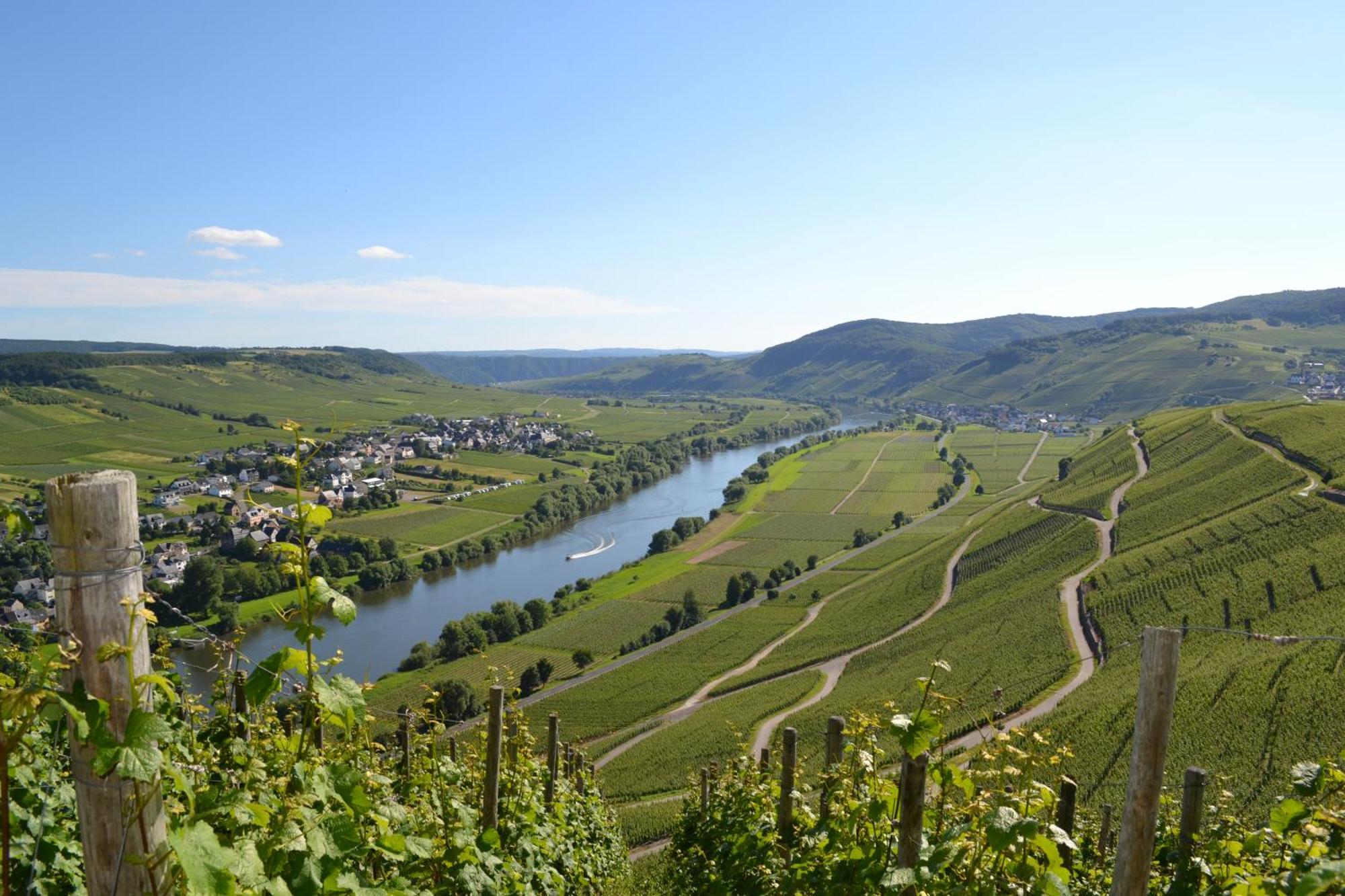 Weingut Mathy-Schanz Osann-Monzel Exteriör bild