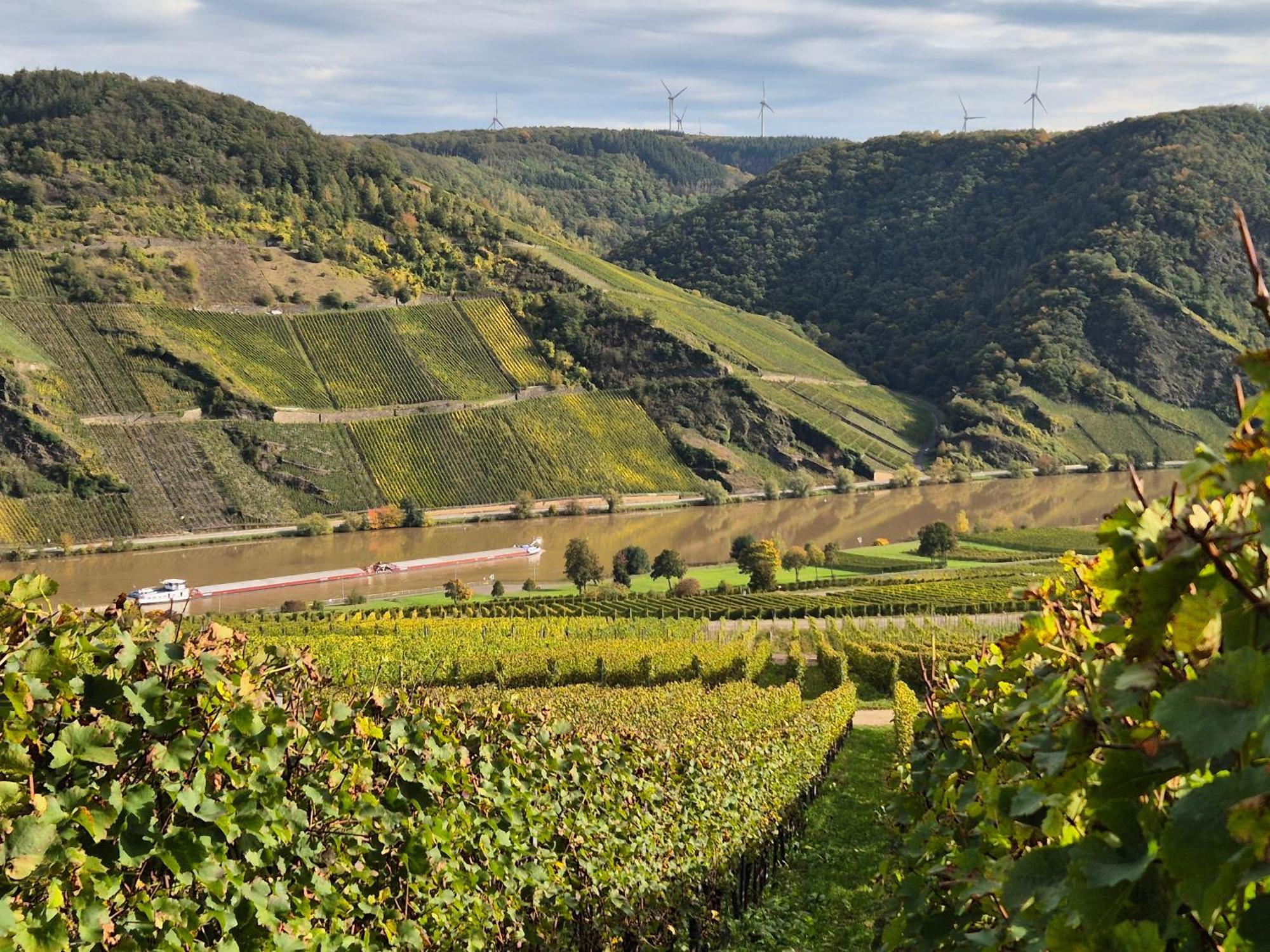 Weingut Mathy-Schanz Osann-Monzel Exteriör bild